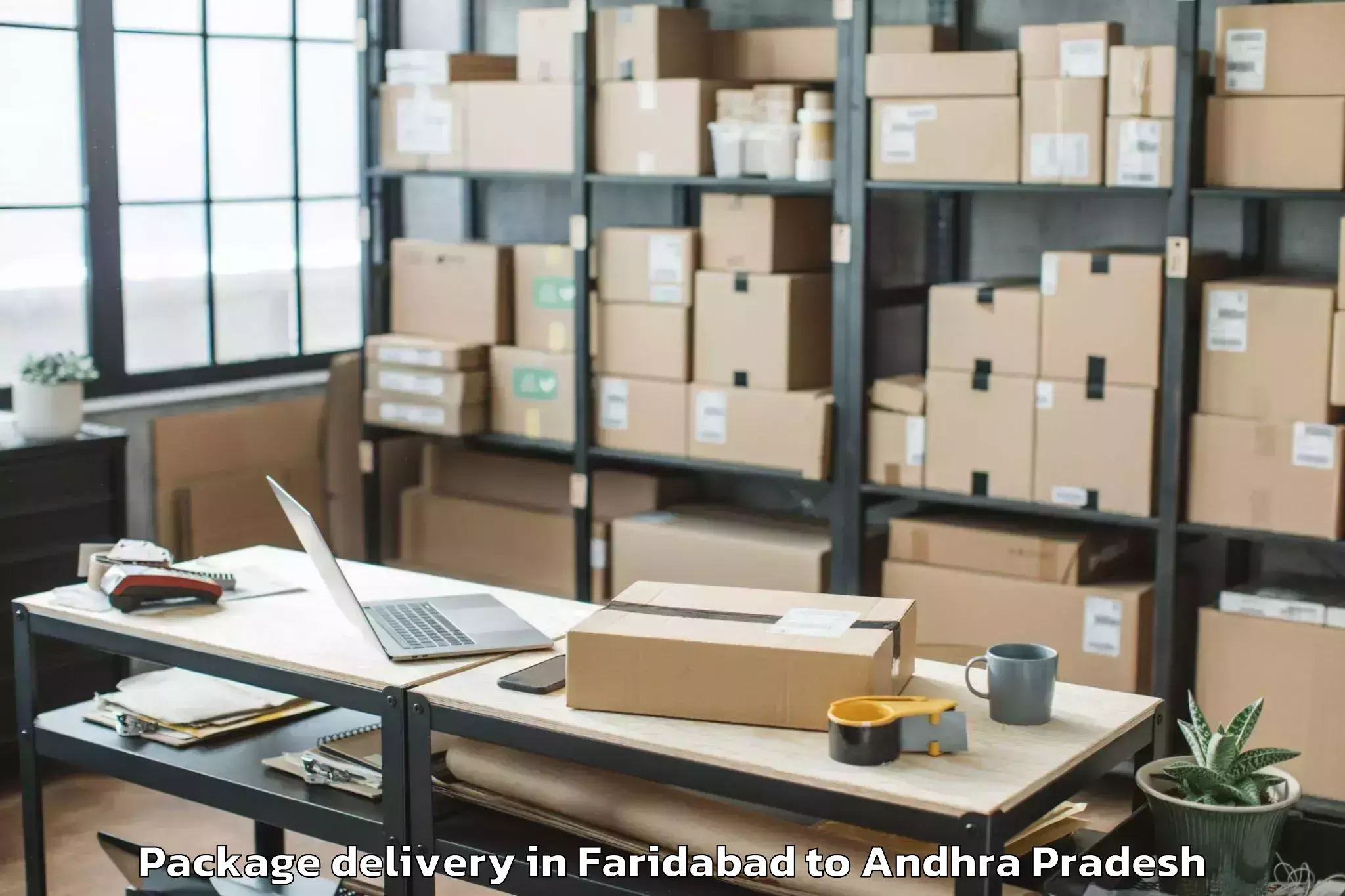 Professional Faridabad to Jeelugu Milli Package Delivery